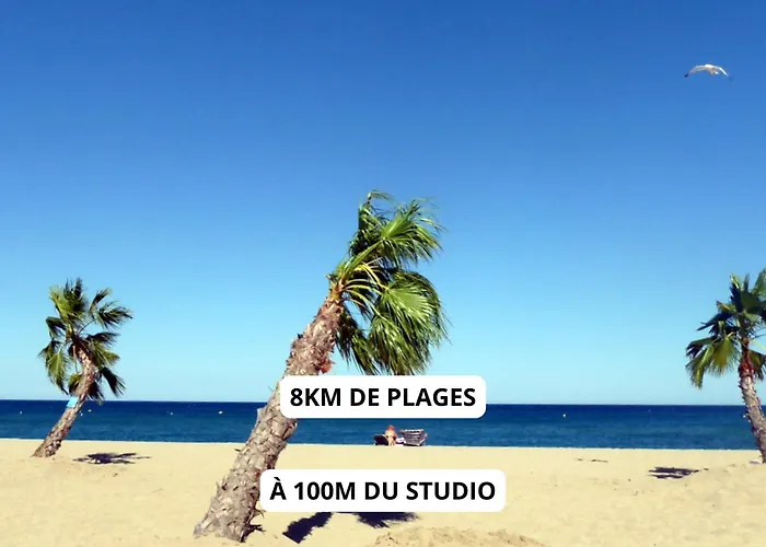 Appartement A 100M De La Plage - Terrasse & Parking Prive
